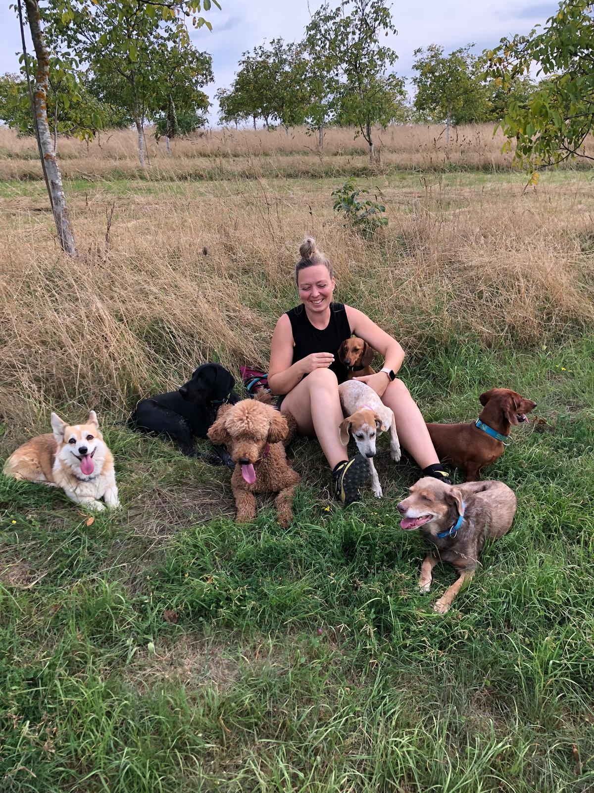 Maruschka mit Hunden im Feld